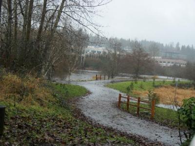 Bothell's Northcreek flooded. BothellBlog.net