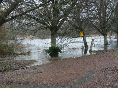 Picture of Northcreek flooding 2010 - BothellBlog.net