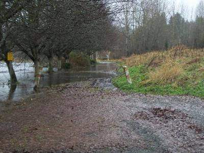 Bothell wa, Northcreek flooding December 2010 BothellBlog.net