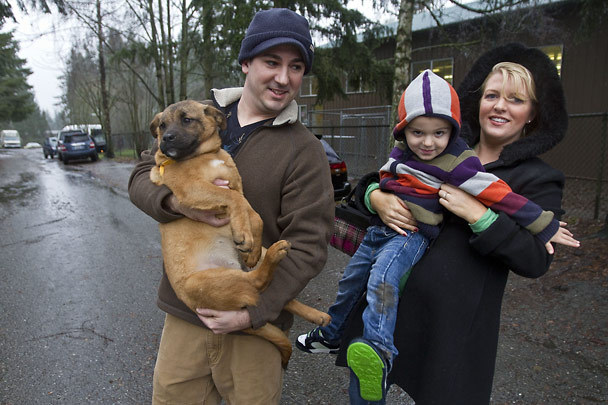 Bothell Blog: Canine Christmas in Bothell