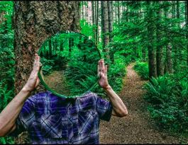 Bothell Live Music William Bird